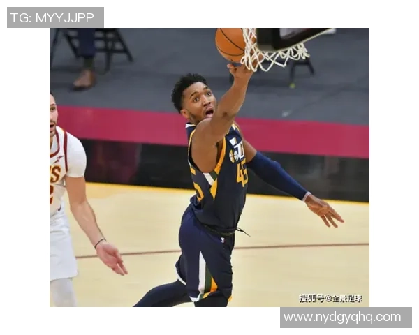 南京网球队逆袭之路：从困境到辉煌的全景解读